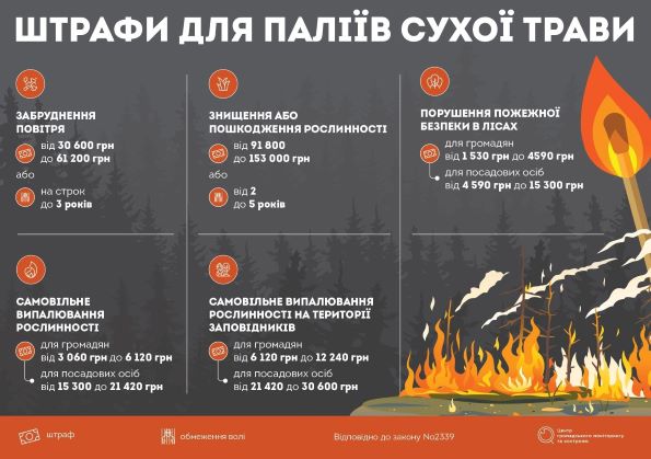 Біля лівобережного житломасиву Кам’янського підпалили сухостій - ФОТО