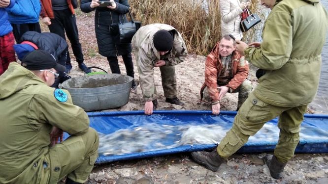 Активісти «бюджету участі» в Кам’янському хочуть гуляти в затінку дерев біля водойм, ловити рибу та облаштовувати території з метою подальшого озеленення - ФОТО