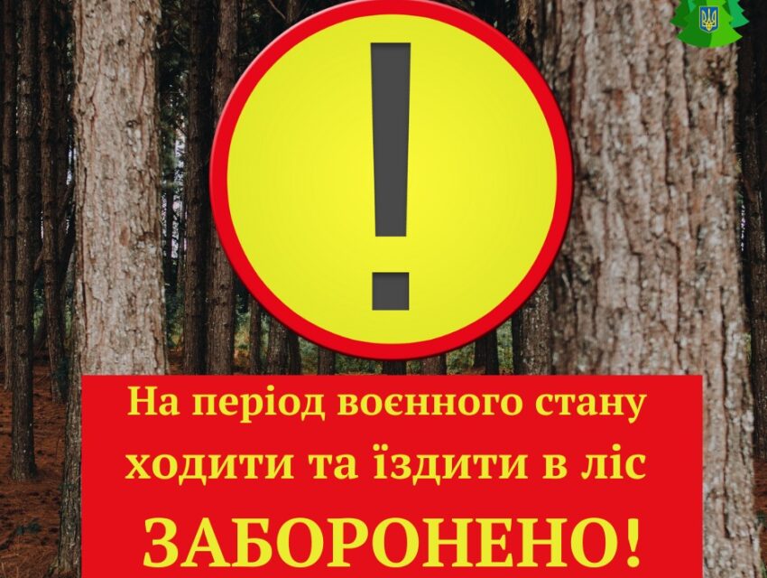 Через пожежі влада заборонила прогулянки в лісах поблизу Кам’янського