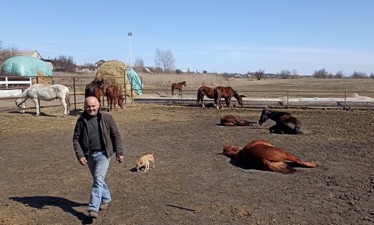Як люди й коні біля Кам’янського рятують одне одного - ФОТО