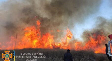 Минулого тижня на Дніпропетровщині через підпал сухостою та сміття вигоріло майже 350 га