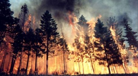 Українців закликають фіксувати екологічні злочини російських агресорів
