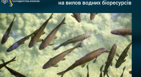 Нерестові заборони для рибалок почалися в Україні
