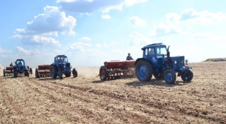 Фермери Дніпропетровщини пропонують роботу для переселенців