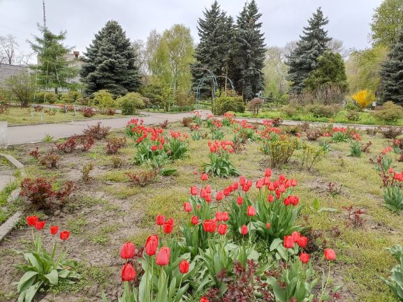 Розарій в Кам’янському зустрічає гостей весняним буянням квітів та парадом черепах - ФОТО