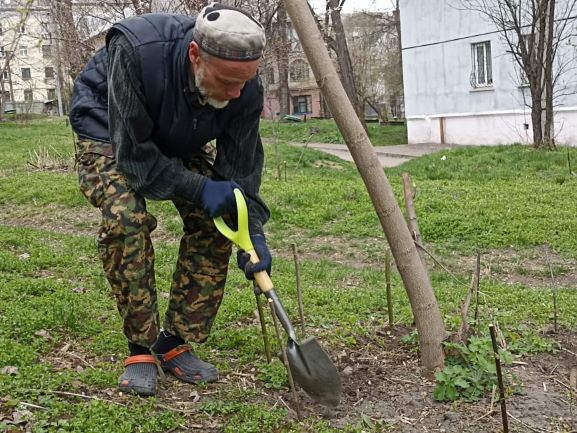 Вирощувати рослини для їжі та краси закликають мешканців Кам’янського