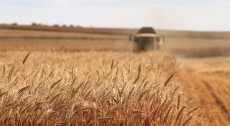 В уряді запевнили, що Україна повністю забезпечена продовольством для внутрішніх потреб