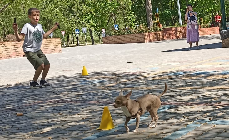 «Година здоров’я та спорту» для відпочиваючих відбулась в лівобережному парку Кам’янського - ФОТО