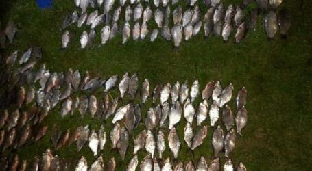 В Кам’янському районі спіймали браконьєрів