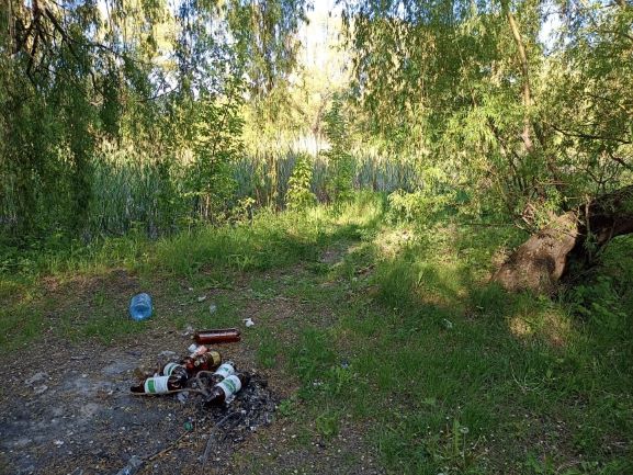 Призабута «зелена зона» зі ставком ховається поряд з центром Кам’янського - ФОТО