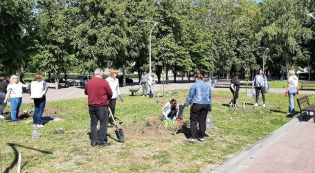 Кам’янчан закликають долучатися до благоустрою району