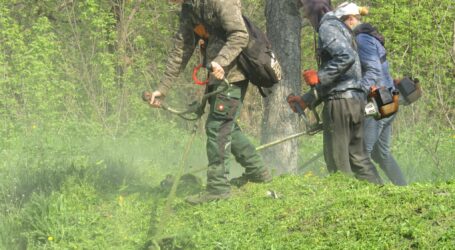Берегти газони та біорізноманіття закликають мешканців Кам’янського екологи та садівники