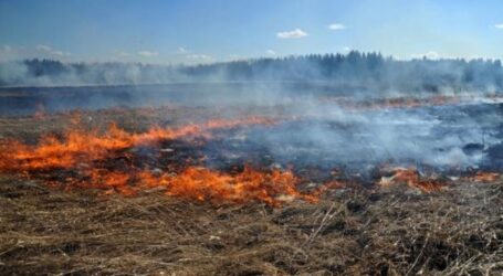 Цієї весни на Дніпропетровщині вигоріло понад 2 тис га рослинності