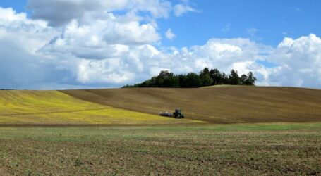 Більше сотні тисяч гектарів української землі «працює на окупантів та їх союзників”