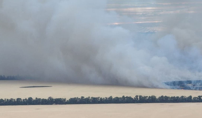 Ворог знищив на Дніпропетровщині більше 100 гектарів пшениці