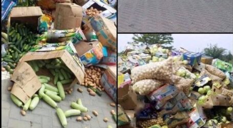 На окупованій Херсонщині фермери викидають овочі, щоб не віддавати їх окупантам