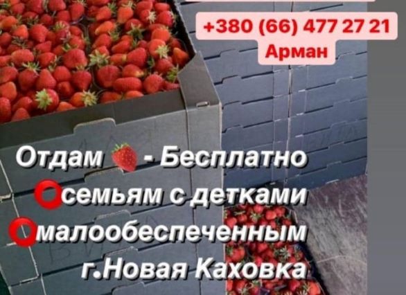 На окупованій Херсонщині фермери викидають овочі, щоб не віддавати їх окупантам - ФОТО