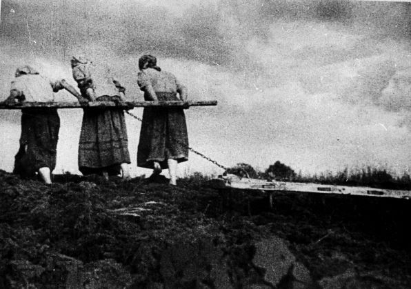 Про життя селян після війни говорили краєзнавці в Кам’янському - ФОТО