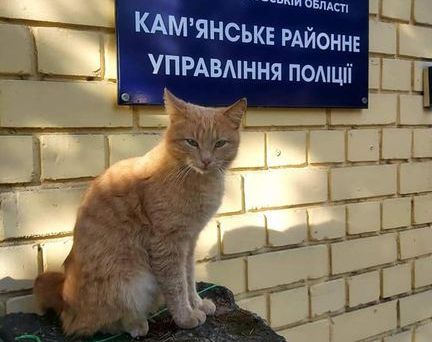 В поліції Кам’янського з’явився чотирилапий “працівник”