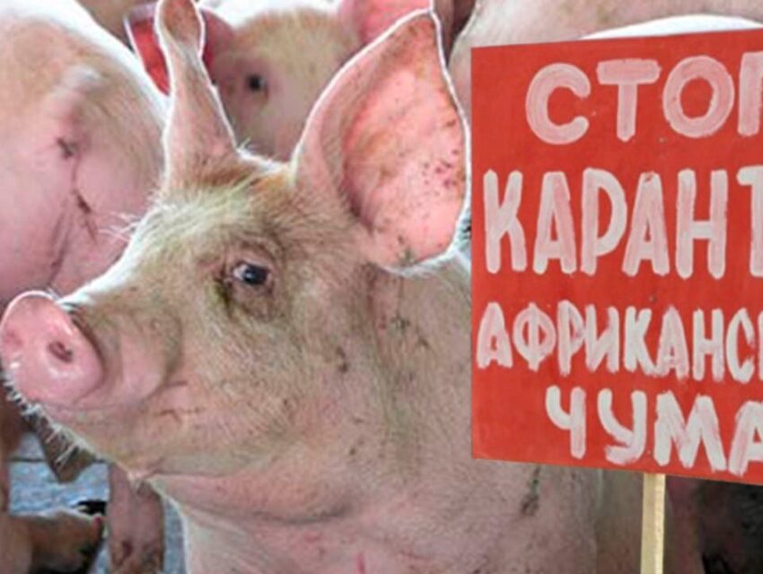 Кам’янчан закликають не купувати м’ясо на стихійних ринках