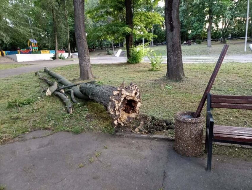 Наввипередки зі стихією відбувається видалення аварійних дерев в Кам’янському