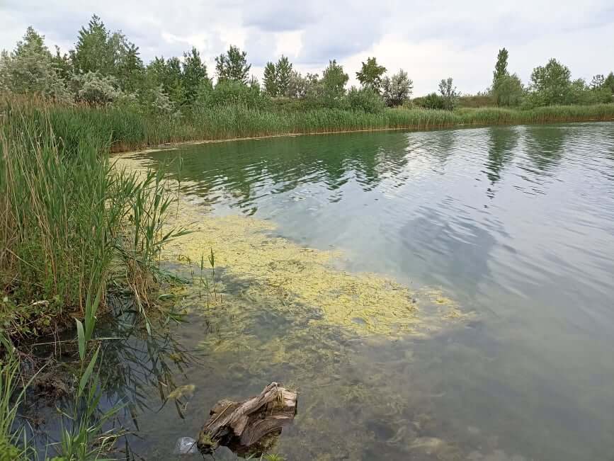 План порятунку річки Дніпро розроблено в Україні - ФОТО