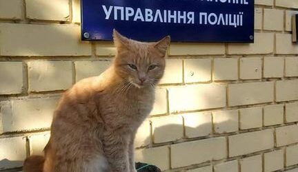 В поліції Кам’янського з’явився чотирилапий “працівник”