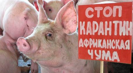 Кам’янчан закликають не купувати м’ясо на стихійних ринках