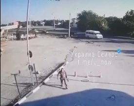 У Дніпрі військовий розстріляв собаку та її цуценят