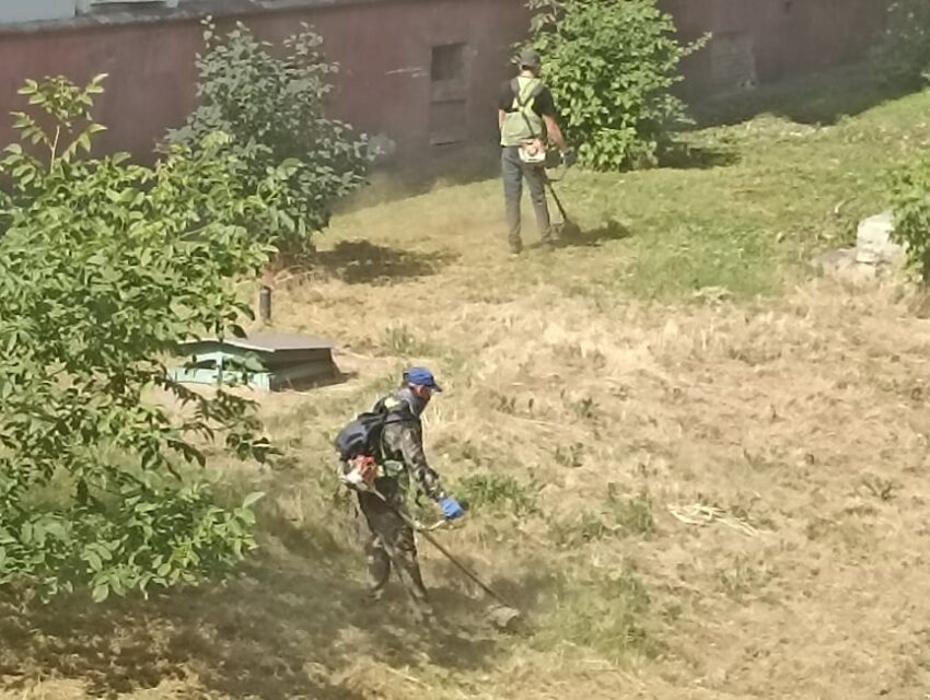 Про знищення газонів та спеку в Кам’янському