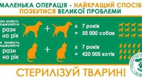 Кам’янчан закликають стерилізувати своїх тварин
