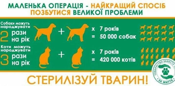 Кам’янчан закликають стерилізувати своїх тварин