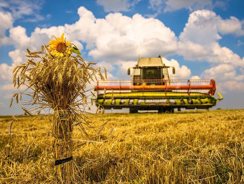 Аграрії Дніпропетровщини завершили збирати ранні культури