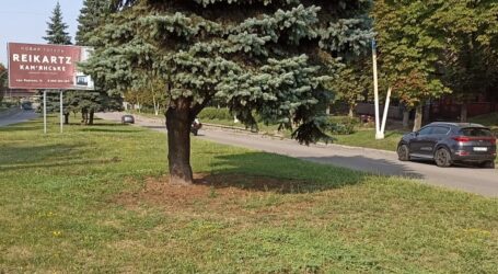 Засохлі саджанці біля вокзалу Кам’янського замінять восени