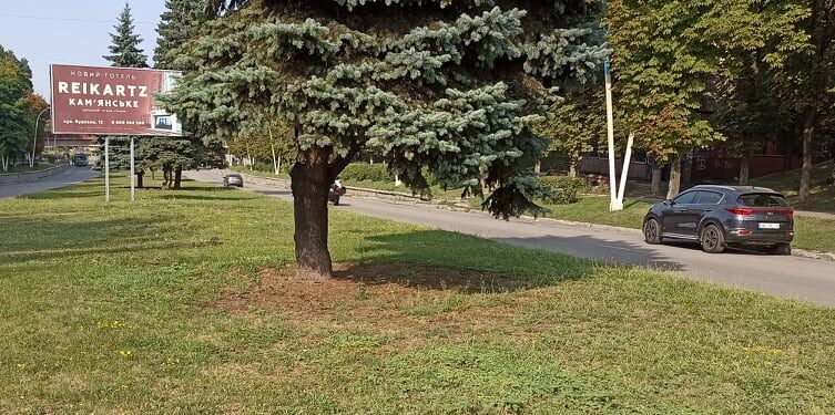 Засохлі саджанці біля вокзалу Кам’янського замінять восени