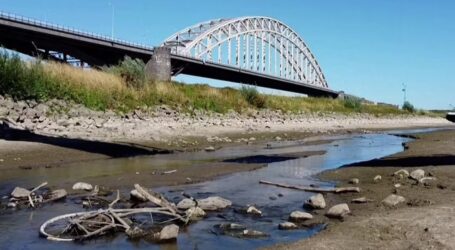 Україні можливо прийдеться годувати і Європу через небачену там посуху