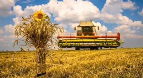 Аграрії Дніпропетровщини завершили збирати ранні культури
