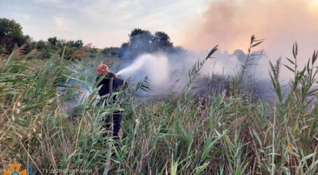 Дніпропетровщину охопили масштабні пожежі