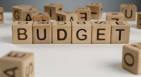 Бюджет Кам’янського за півріччя виконано не повністю