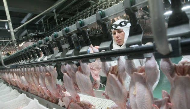 Українці споживають переважно м’ясо птиці, а переробники м’ясопродукції збільшують виробництво м’ясних консервів