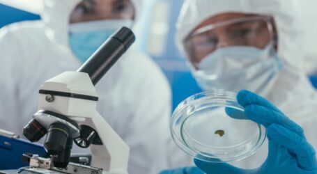 На Дніпропетровщині будуть тестувати стічні води на наявність COVID-19
