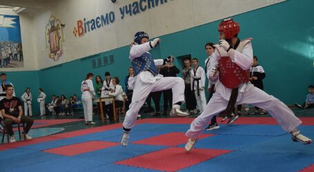 Чемпіонат області з тхеквондо із запізненням на пів року відбувся в Кам’янському