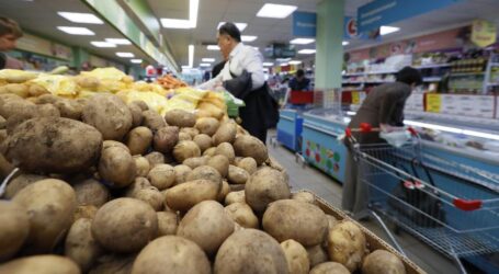 В Україні продовжують зростати ціни на картоплю