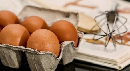 Ціни на яйця припинили рости завдяки збільшенню поголів’я курей-несучок