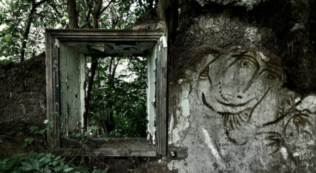 Художник з Кам’янського «оживлює» зруйновані сільські будинки