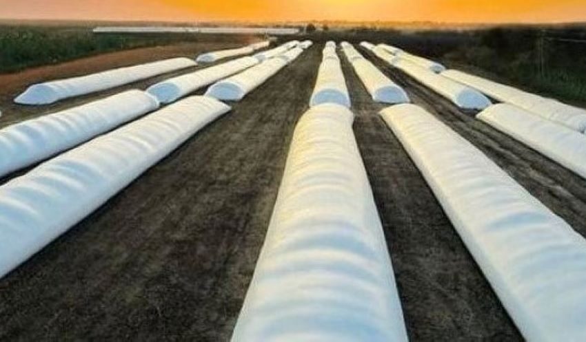 Агропідприємства Дніпропетровщини отримають понад 1 тис. рукавів для зберігання зерна
