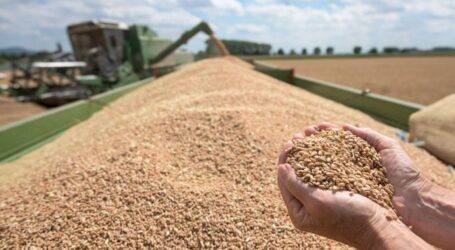 Збитки агросектору України через війну можуть становити 40 мільярдів доларів