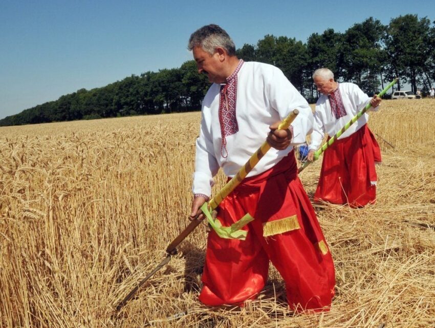Кооперація може допомогти аграріям України, аби не «людський фактор»