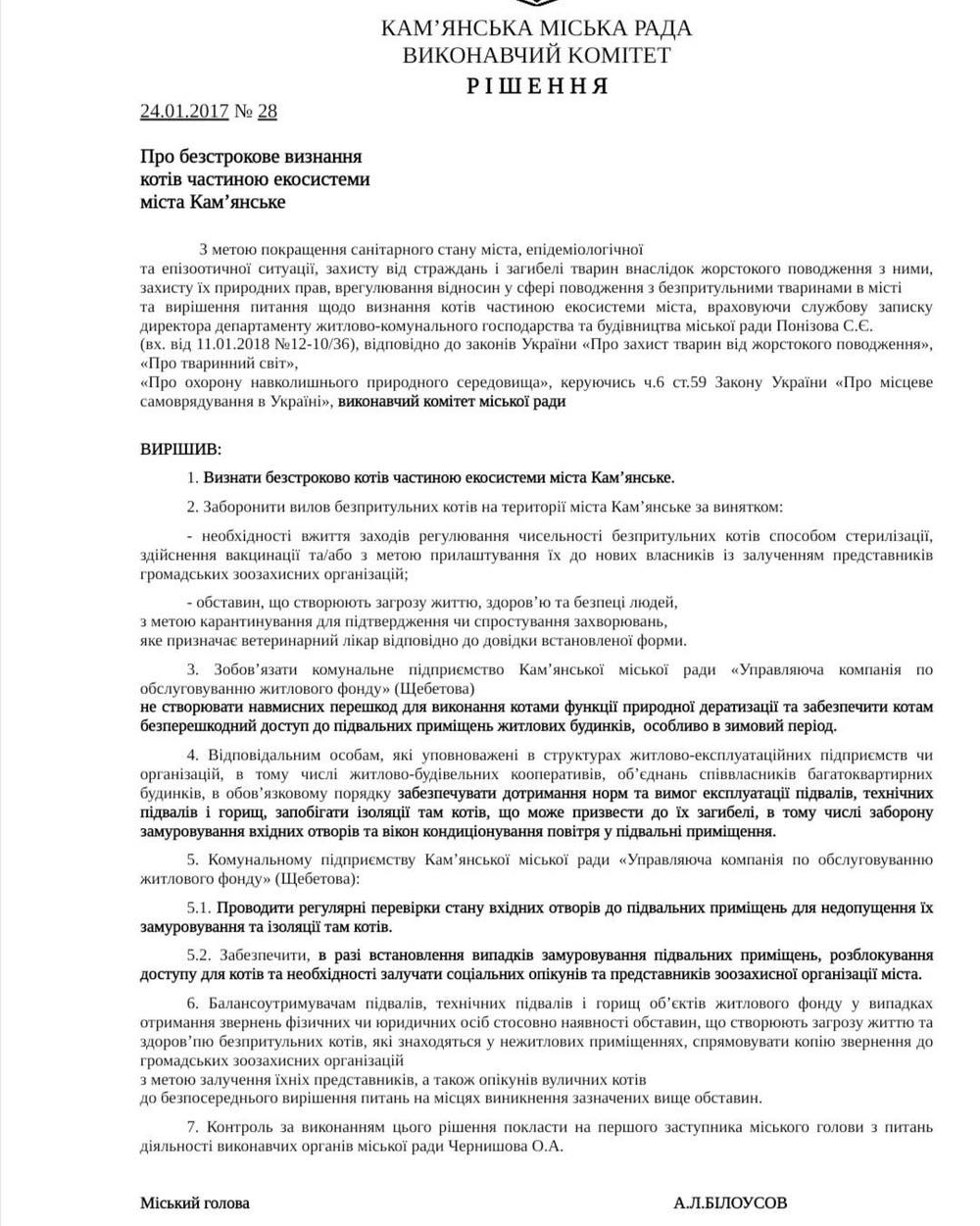 Надати котам доступ до підвалів вимагають влада та зоозахисники в Кам’янському - ФОТО
