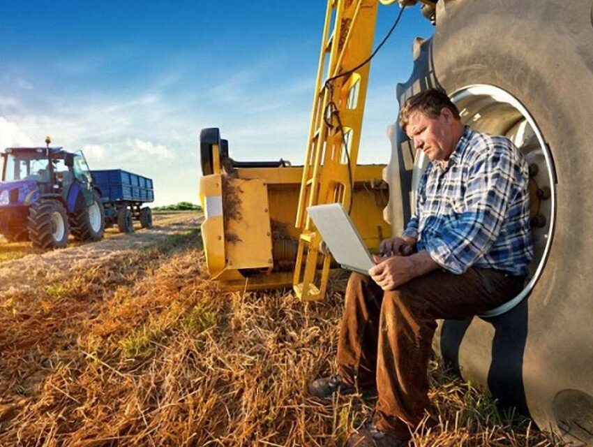 Проблеми зі збутом вирощеного врожаю мають майже 90% аграріїв Дніпропетровщини